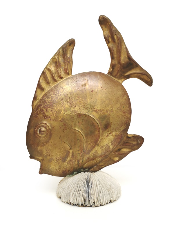 bronze sunfish 