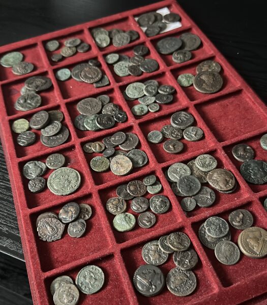 Pashiz Coins | Alfies Antiques